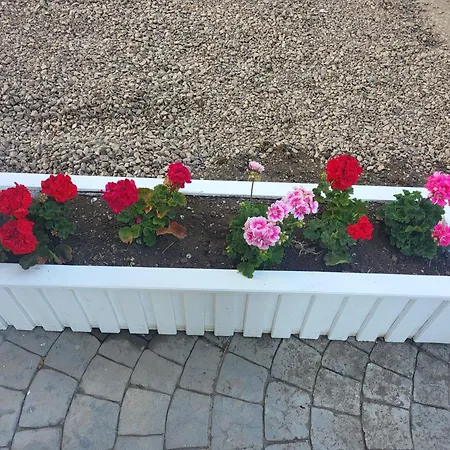 мареа Appartement Sveti Vlas
